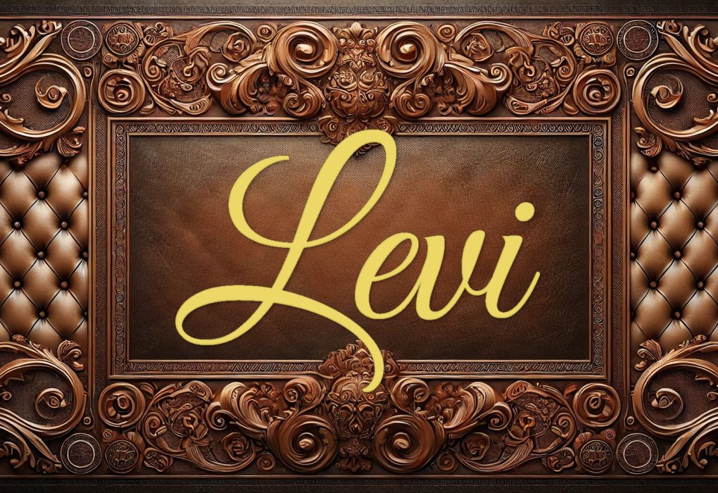 Levi: Semnificația numelui